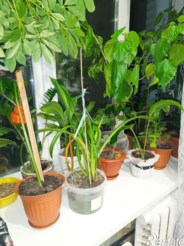 Комната ул Корабельная, 7,  д. 7